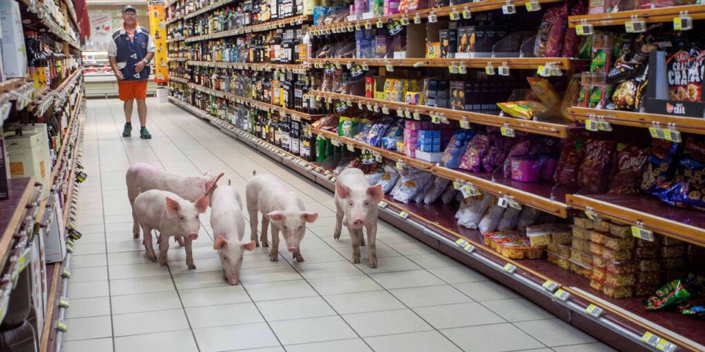 ‘Greedflation’ está reemplazando a la inflación a medida que las empresas aumentan los precios para obtener mayores ganancias, según un informe