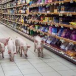 ‘Greedflation’ está reemplazando a la inflación a medida que las empresas aumentan los precios para obtener mayores ganancias, según un informe