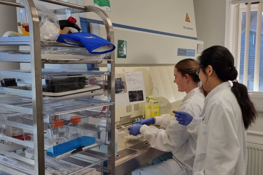 La subvención Analysis for Innovators (A4I) impulsa el avance bioinformático pionero de BiologIC
