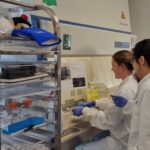 La subvención Analysis for Innovators (A4I) impulsa el avance bioinformático pionero de BiologIC