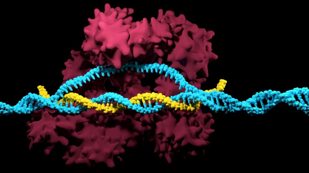 ¿Quiénes son los principales innovadores en factores de transcripción para células modificadas genéticamente para la industria farmacéutica?
