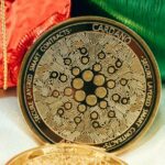 Cardano: Innovation Capital Hub por Milkomeda Developer ‘dcSpark’