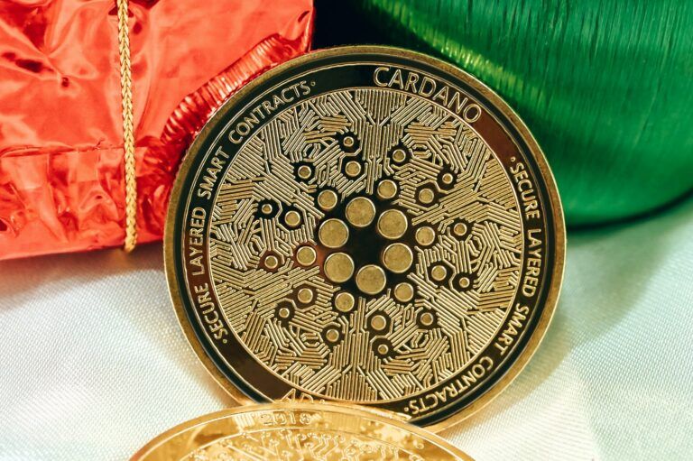 Cardano: Innovation Capital Hub por Milkomeda Developer ‘dcSpark’