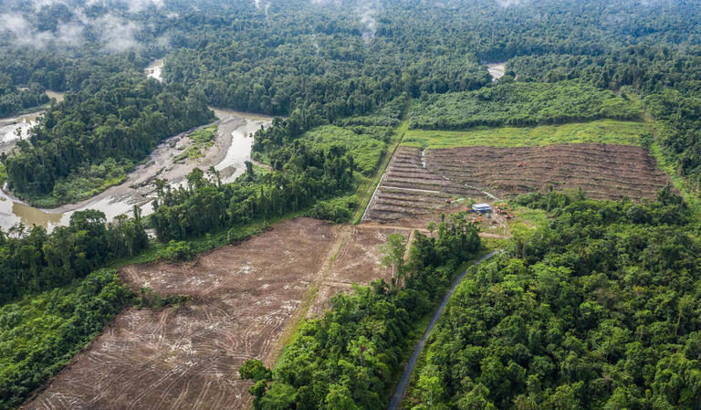 En Indonesia, las empresas desafían la decisión del gobierno de revocar sus permisos
