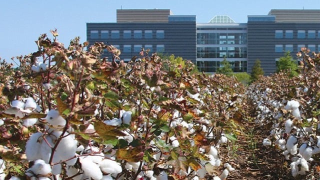 El Instituto de Biotecnología HudsonAlpha gana el Premio de Desarrollo de Motores NSF de $ 1 millón
