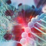 ¿Quiénes son los principales innovadores en factores de transcripción para AAV para la industria farmacéutica?