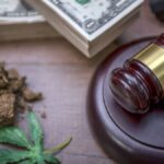 Las empresas de cannabis obtienen alguna desgravación fiscal estatal