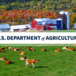 USDA busca miembros para el Comité Asesor Federal para la Agricultura Urbana y la Producción Innovadora