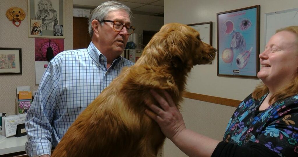 «Compre la clínica veterinaria de mi padre», su hija ayuda a anunciar Ark Animal Hospital |  Ojo en Eau Claire