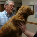 «Compre la clínica veterinaria de mi padre», su hija ayuda a anunciar Ark Animal Hospital |  Ojo en Eau Claire