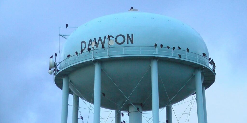 Más de 15 negocios abrieron sus puertas en el último año de Dawson