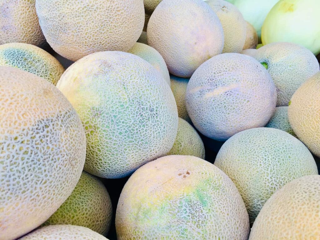 Cantaloupe Fintech adquiere la startup POS Tech Cheq