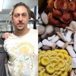 El negocio de hongos gourmet Mountaintop Mushrooms cierra en medio de una economía difícil y una infraestructura deficiente