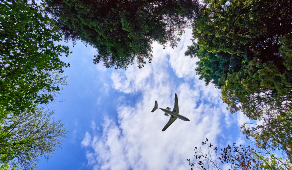 Los grupos del sector de la aviación comercial tienen como objetivo acelerar el SAF