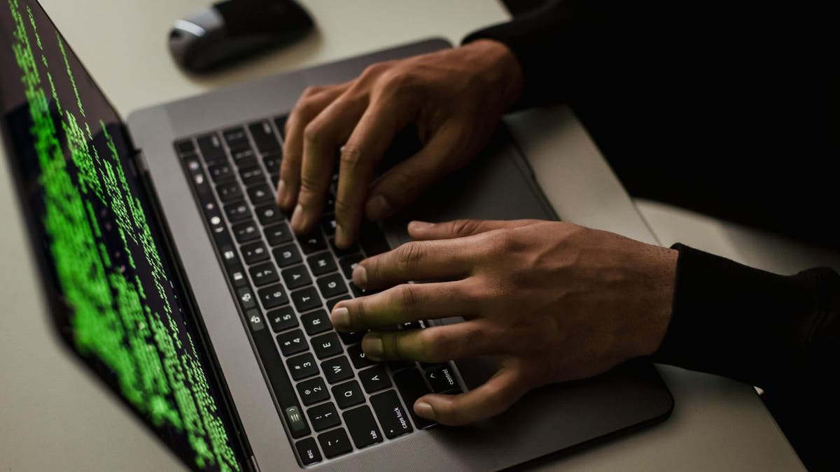 Hacker en computadora