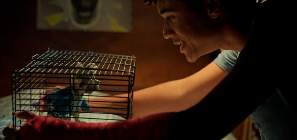 Las crónicas de Spiderwick (Roku)