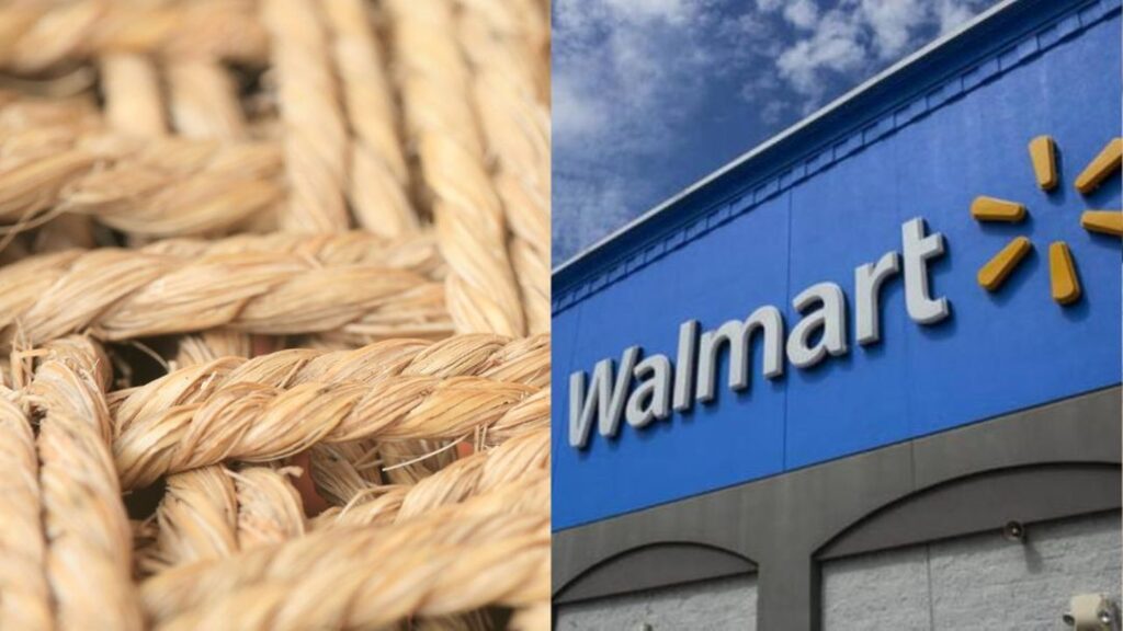 Coir Corporation llega a un importante acuerdo con Walmart Coir Corporation Walmart Foam Rebels