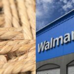 Coir Corporation llega a un importante acuerdo con Walmart Coir Corporation Walmart Foam Rebels