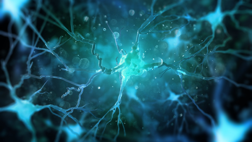 4 artículos que debes consultar sobre el futuro de la neurociencia conductual