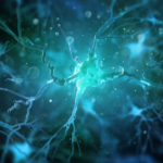 4 artículos que debes consultar sobre el futuro de la neurociencia conductual