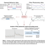 Investigadores de la Universidad de Burdeos (Francia) han desarrollado Pyfiber: una biblioteca Python de código abierto que facilita la integración de la fotometría de fibra (FP) con el comportamiento del actuador.