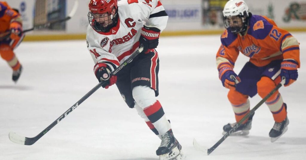 Las entradas para Georgia Ice Dawgs salen a la venta en el Akins Ford Arena el viernes | Deportes de Georgia