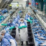 Ventas de Copeinca: perfil del comprador canadiense y situación del mercado local | Pesca | Tinte | Tarifa | Exalmar | Hayduk | anchoa | ECONOMÍA