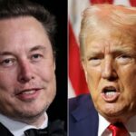 ¿Qué causó los incendios de Los Ángeles? Elon Musk y Donald Trump culpan a la diversidad y a un pez pequeño