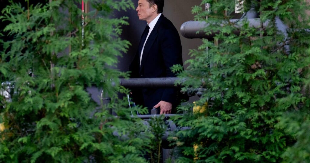 El hombre de Elon Musk en el Parlamento Europeo – POLITICO