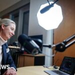 Musk entrevistó a la líder de extrema derecha alemana Alice Weidel