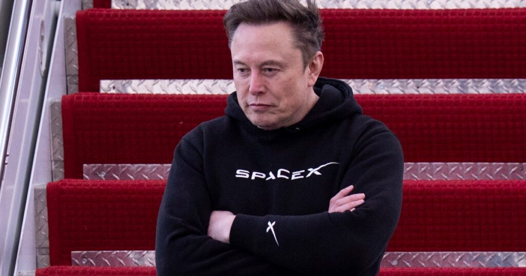 La hija de Elon Musk llama al perro del padre ** t ‘en el juego
