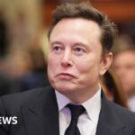 Elon Musk recibe $ 1 millón frente a la Corte Suprema de Wisconsin
