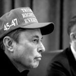 Los creadores de inicio están robando el nombre ‘Grok’ de Elon Musk