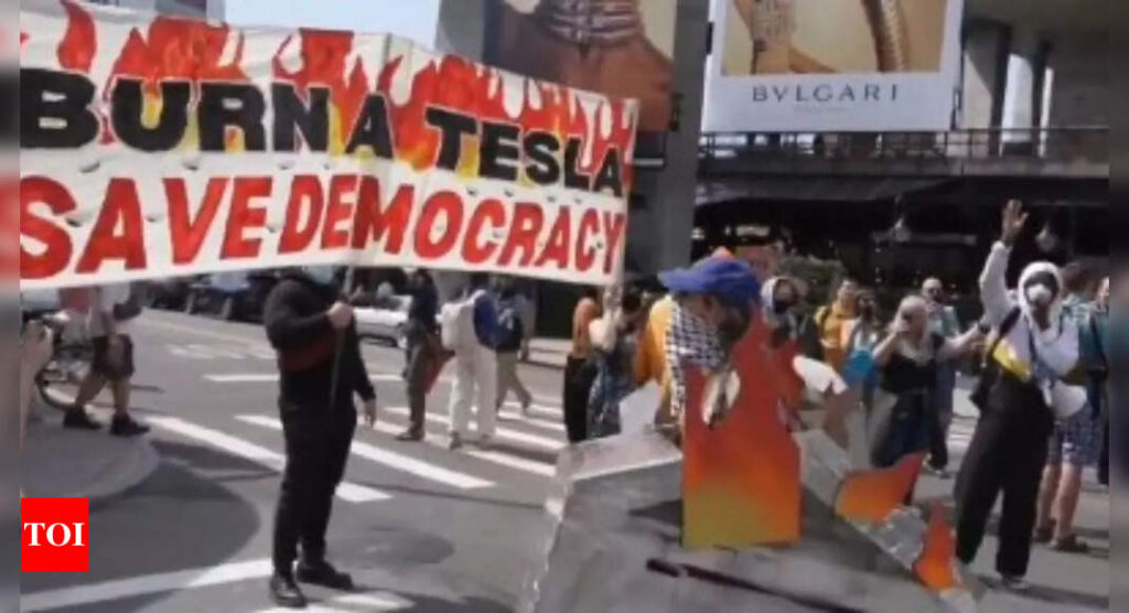 Noticias de Tesla Takedown: Elon Musk «fuma una tesla, las llamadas de la democracia», la protesta de la jibia de los Swastikars Tesla Takedown