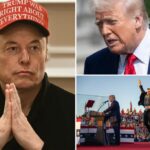 Trump Musk quiere ser administrador «el mayor tiempo posible», dice Dege encontró algo increíble