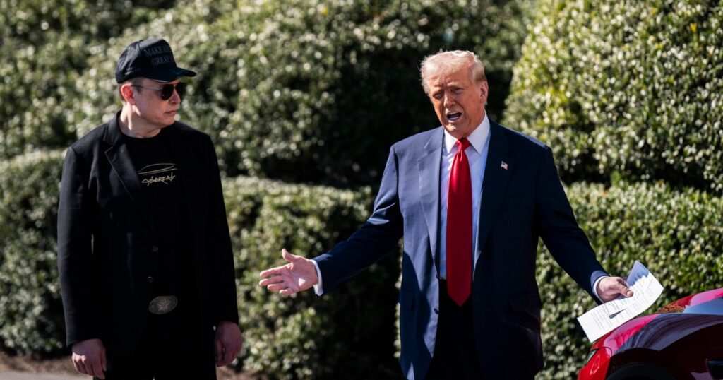 Los republicanos no tienen a Trump o Elon Musk después de las elecciones del martes.