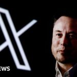 X es navegado en India como una introducción al plan Tesla y Starlink