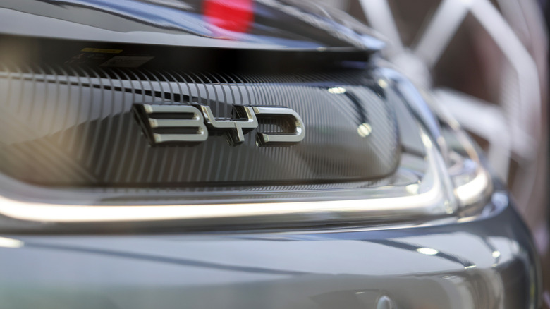 Insignia byd