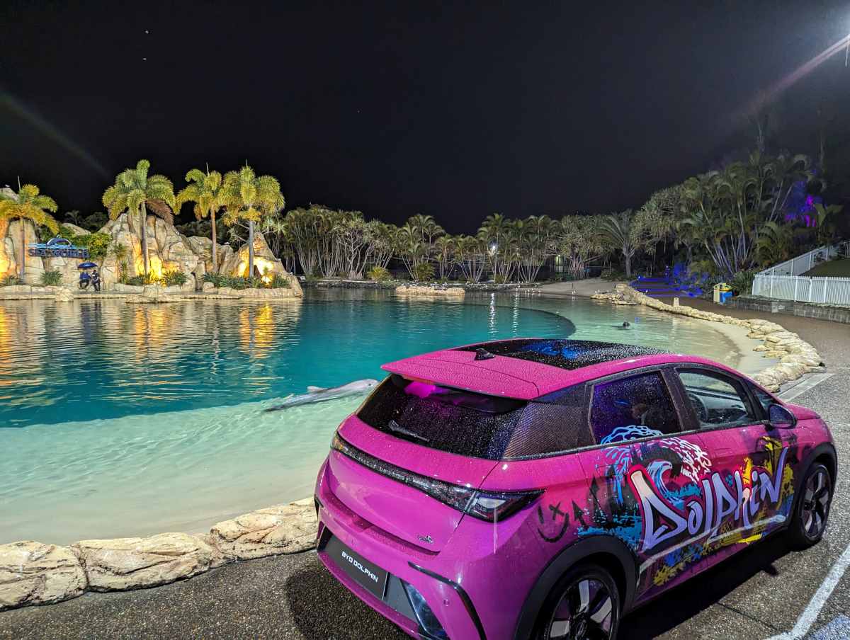 Byd Dolphin SeaWorld 2023 junio