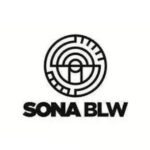 Sona BLW comparte más del 8% después de que China Automercer BYD informa las conversaciones de suministros