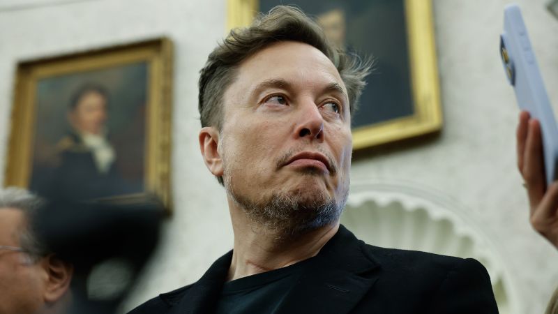El almizcle parece poner un megáfono político, incluso si el Tesla duele
