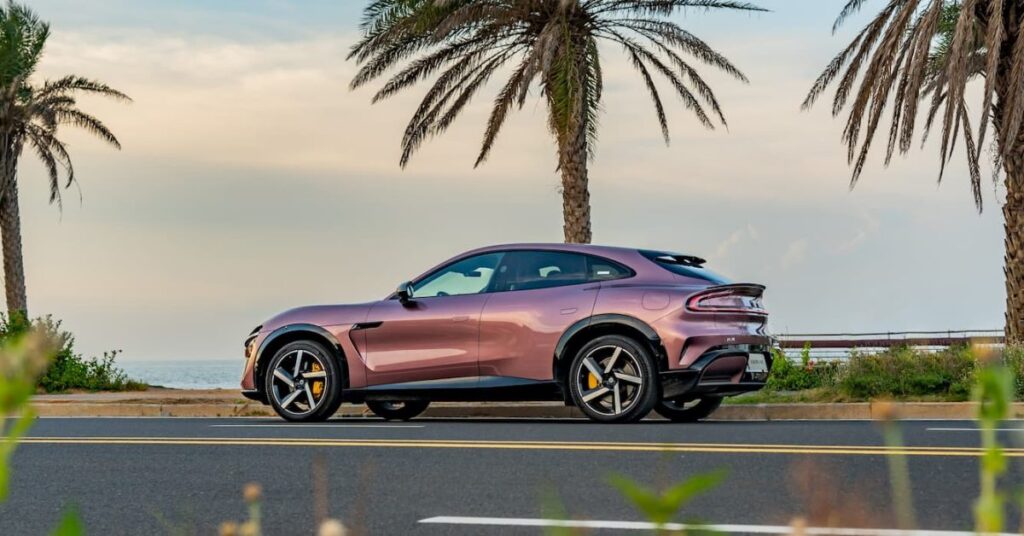 Espere mucho tiempo en el EV de China para ver el responsable de los compradores