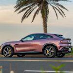 Espere mucho tiempo en el EV de China para ver el responsable de los compradores