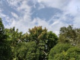 Cámara principal - f / 1.8, ISO 50, 1/1320S - Xiaomi Redmi 15 5G Hecho a mano