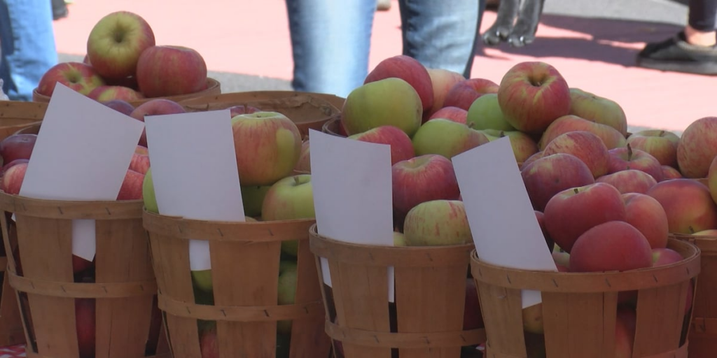 Apple Fest regresa a Endicott 40. Debido al aniversario