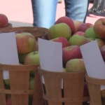 Apple Fest regresa a Endicott 40. Debido al aniversario