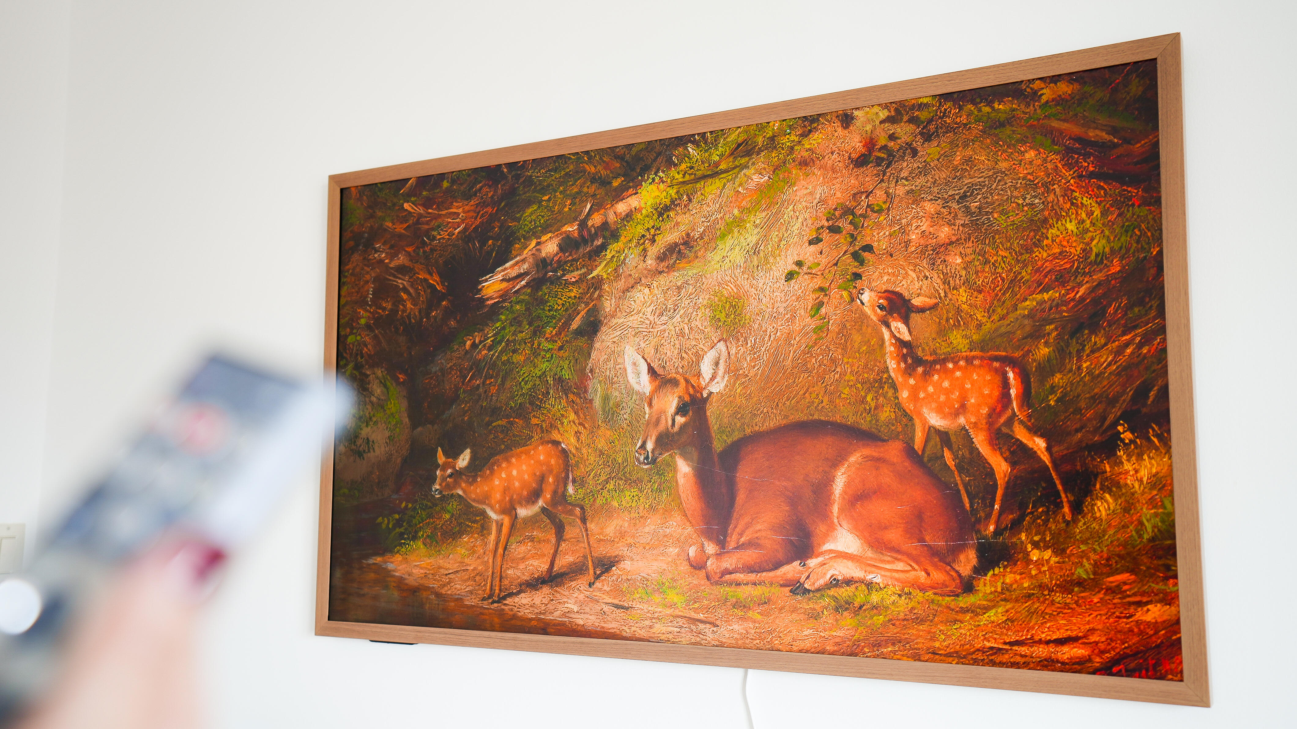 dsc05075-2.jpg