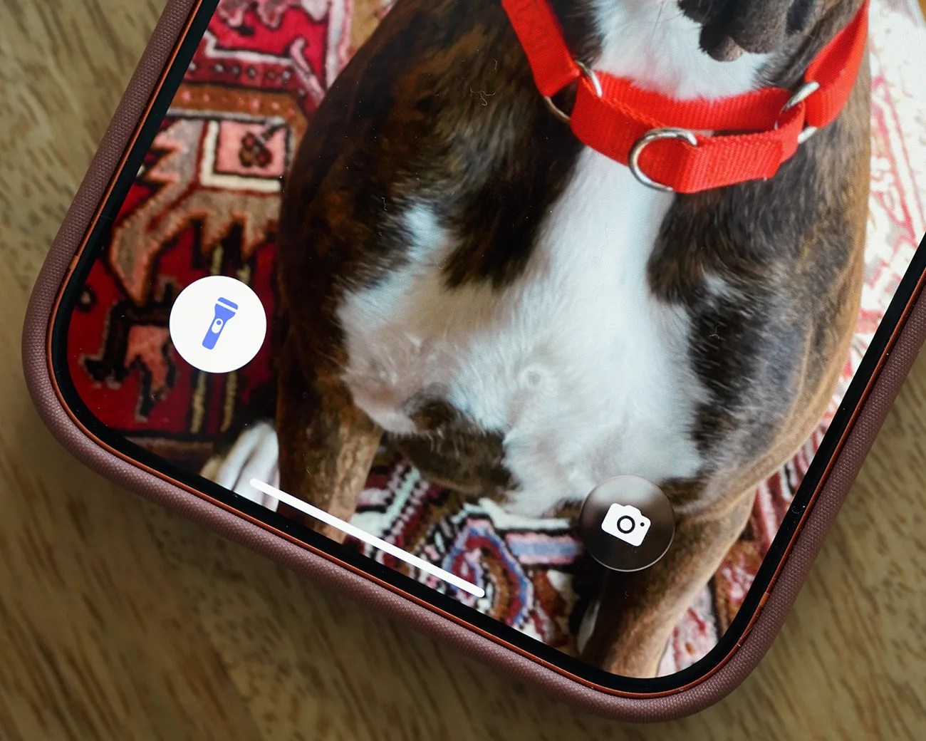 Primer plano de la pantalla de un teléfono inteligente que muestra un perro con un collar rojo sobre una alfombra estampada, con iconos de cámara y linterna visibles.