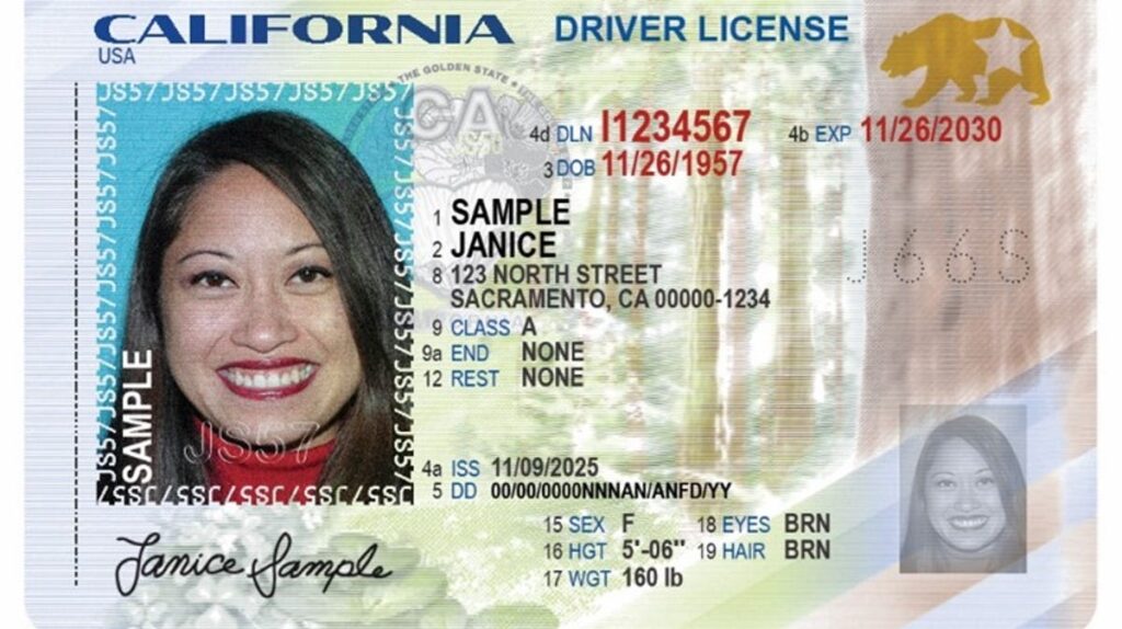 Cómo obtener una licencia de conducir digital móvil de California
