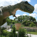 ¿Netflix te ha hecho pensar en los dinosaurios? Los fósiles de Alabama cuentan una historia